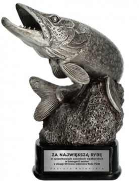 Haukipatsas korkeus 20 cm