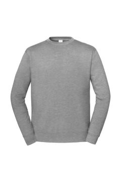 Iconic Premium Collegepaita