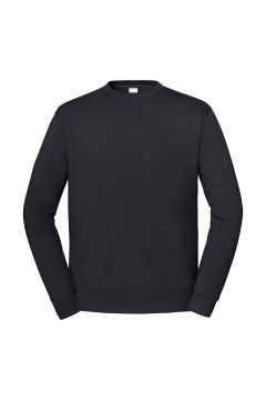 Iconic Premium Collegepaita