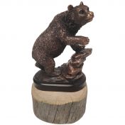 Karhupatsas kelotukilla