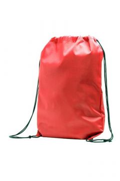 Larus backpack rpet