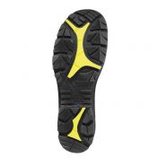 Fire Eagle 2.0 PRO